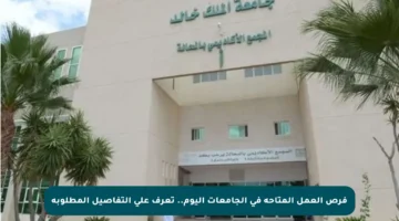 فرص العمل المتاحة في الجامعات اليوم.. تعرف على التفاصيل المطلوبة